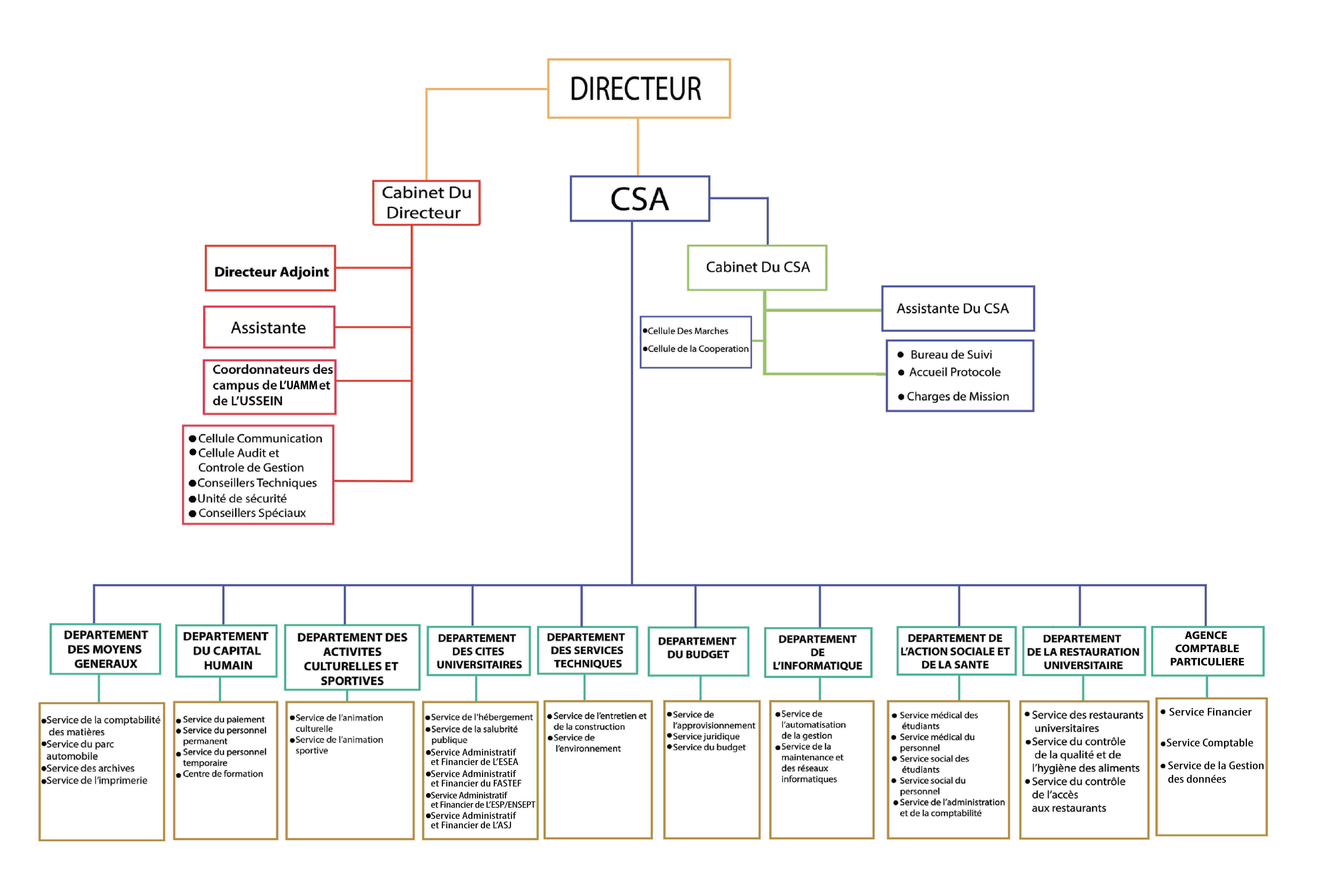 organigramme